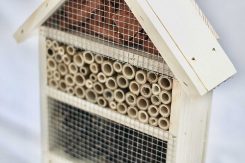 1ff09be2-4cef-49e4-aecc-2194a56cff38